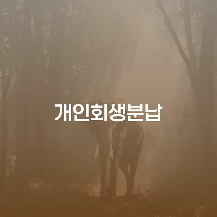신용카드 연체 개인회생으로 해결방법 유선상담