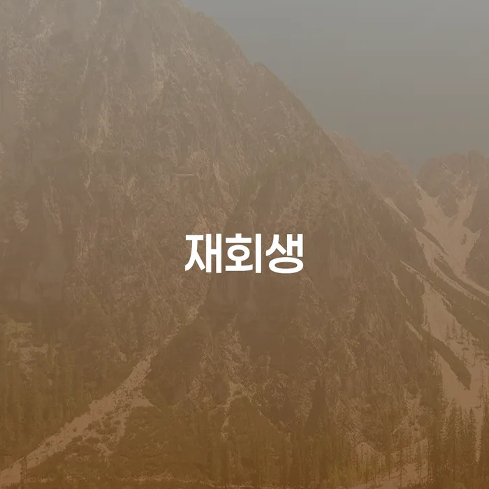 개인회생개시결정 대출 연체 개인회생 지식을