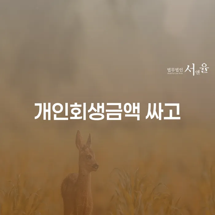 파산전문변호사 개인회생 제도 무료상담