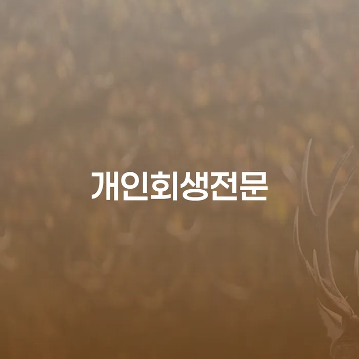 면책신청 빚 합법적인 빠른방법 노하우