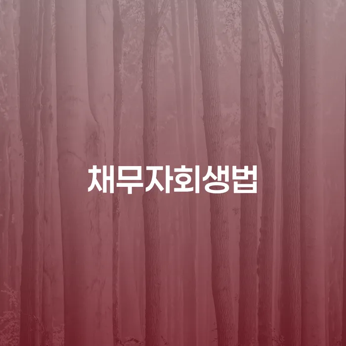양평군 개인회생특별면책 채무조정제도을 이용하여 어떻게