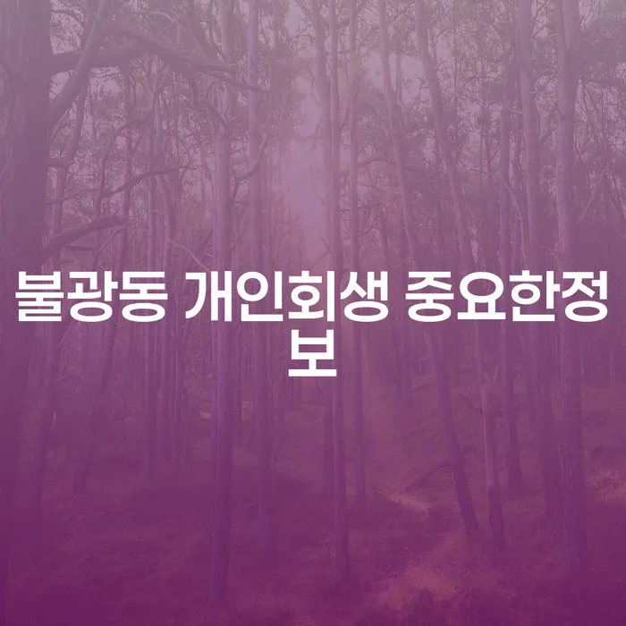 불광동 개인회생 중요한정보