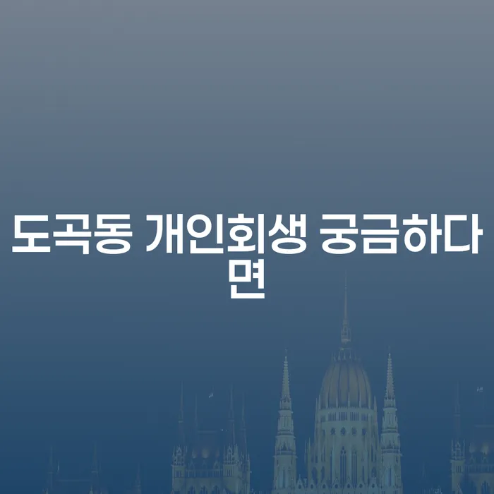 도곡동 개인회생 궁금하다면